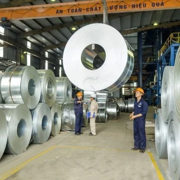 stainless steel coil (20)